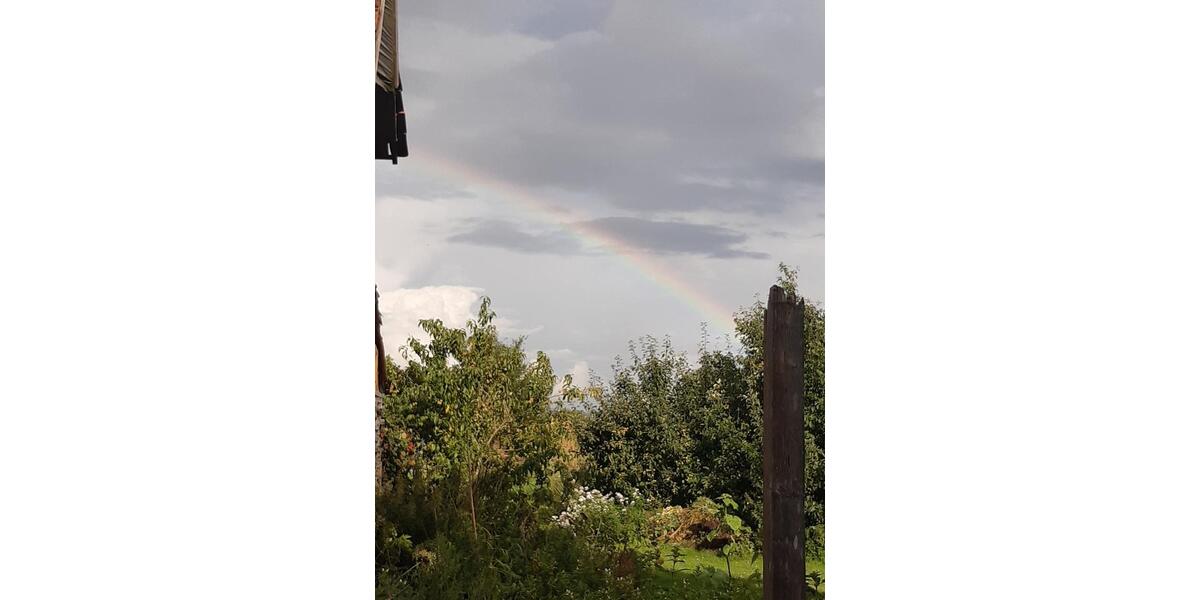 Erdgeschoßwohnung Teterow - 1 Zimmer, 42 m&sup2;, 320&euro; | Angebot:25026454