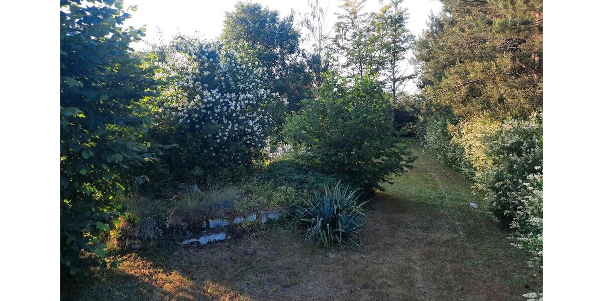 Doppelhaushälfte Haselbachtal - 12 Zimmer, 160 m&sup2;, 1.050&euro; | Angebot:22972489