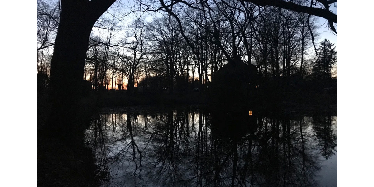 Wohnen auf Zeit Wilster - 1 Zimmer, 20 m&sup2;, 680&euro; | Angebot:22753309