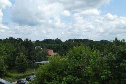 Wohnung Bad Düben Weinbergshäuser - 3 Zimmer, 60 m&sup2;, 335&euro; | Angebot:23971818