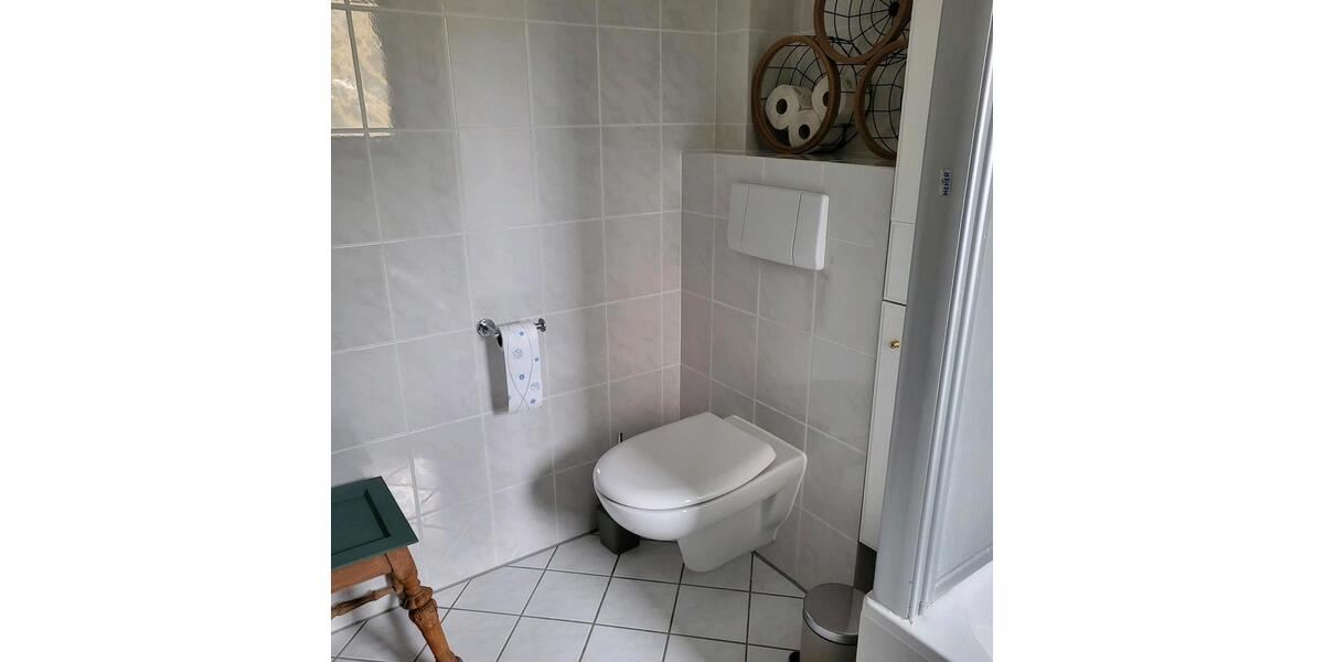 Dachgeschoßwohnung Hofheim am Taunus - 1 Zimmer, 55 m&sup2;, 1.200&euro; | Angebot:24837078