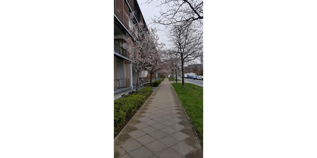 Erdgeschoßwohnung Hannover Döhren-Wülfel - 4 Zimmer, 91 m&sup2;, 1.050&euro; | Angebot:24751402