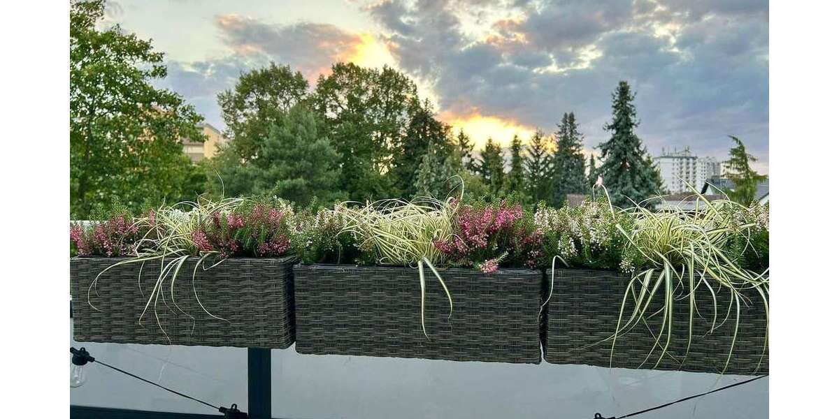 Etagenwohnung Maintal Dörnigheim - 4 Zimmer, 106 m&sup2;, 1.620&euro; | Angebot:25159095