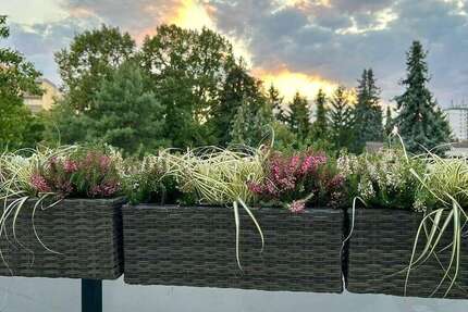 Wohnung Maintal Dörnigheim - 4 Zimmer, 106 m&sup2;, 1.620&euro; | Angebot:25159095