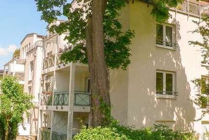 Wohnung zum Mieten in Dresden 686,60 € 79.84 m²