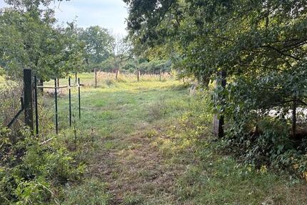 Fischteiche zu verpachten, Teich Pacht Wienhausen bei Celle zimmer