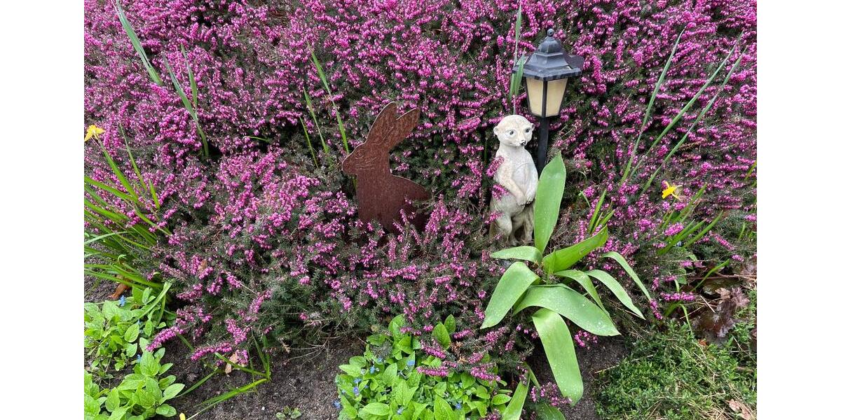 Wohnen auf Zeit Salzhausen - 3 Zimmer, 62 m&sup2;, 80&euro; | Angebot:20229914