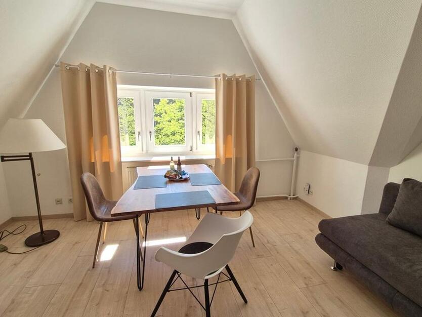 Möblierte 3-Zimmer-Wohnung in einer Villa im Zentrum von Bad Ems
