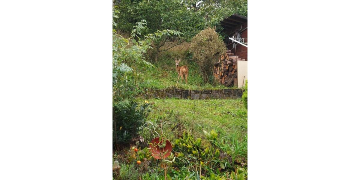 Etagenwohnung Höchberg - 1 Zimmer, 18 m&sup2;, 470&euro; | Angebot:24874152