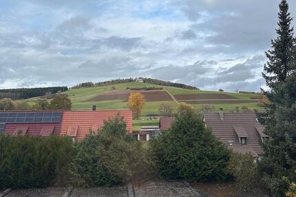Helle 3,5-Zimmer-Wohnung mit Balkon (1. OG) –ab sofort bezugsfrei 3.5 zimmer