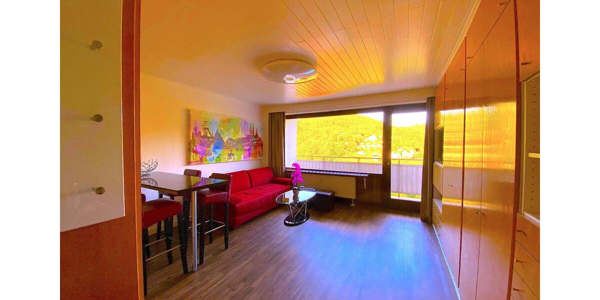 Etagenwohnung Bad Grund (Harz) - 1 Zimmer, 30 m&sup2;, 560&euro; | Angebot:24514412