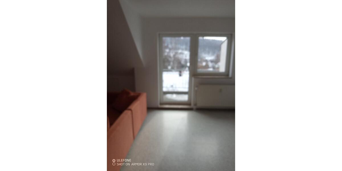Dachgeschoßwohnung Wunsiedel - 1 Zimmer, 44 m&sup2;, 340&euro; | Angebot:25840258