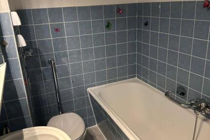 Wohnen auf Zeit Mannheim Rheinau - 450&euro; | Angebot:26218652