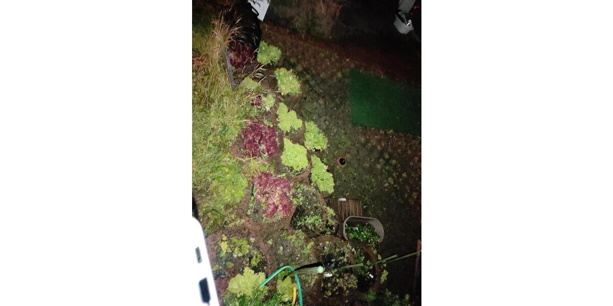 Erdgeschoßwohnung Bürstadt - 4 Zimmer, 100 m&sup2;, 1.500&euro; | Angebot:25648823