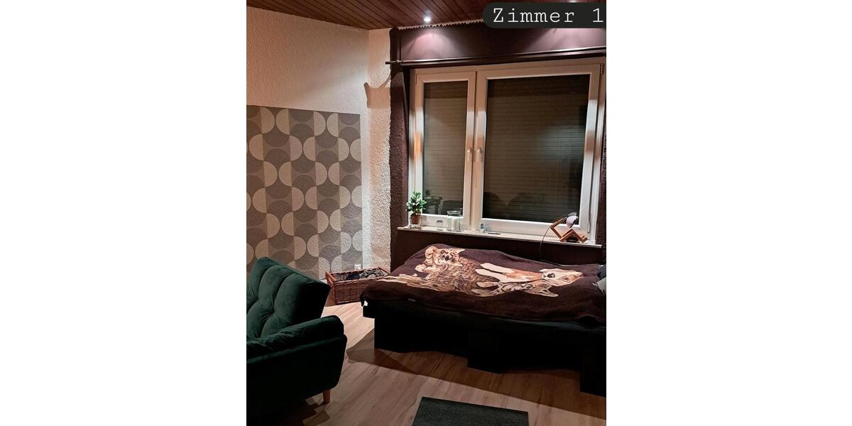 2 freie Zimmer, 17m²23m², Katze, EG, Frauennonbinär 4 zimmer