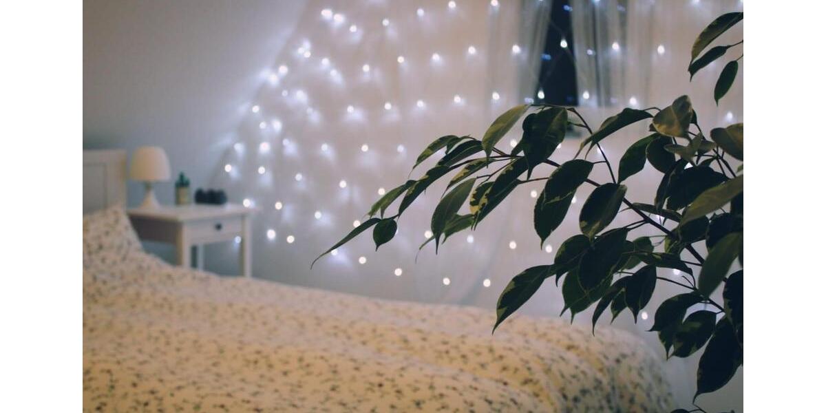 Dachgeschoßwohnung Köngen - 3 Zimmer, 75 m&sup2;, 820&euro; | Angebot:24783873