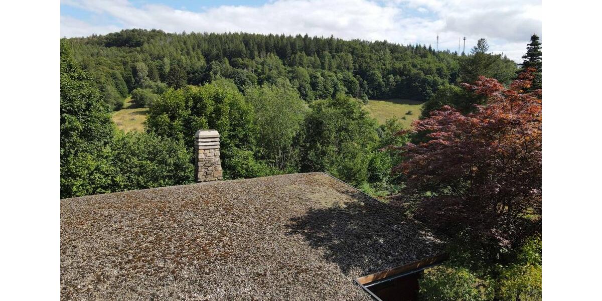 Harz Ferienhaus Blockhaus 6 Pers +Hund 2 Kamine gr Grundst. süd H 4 zimmer