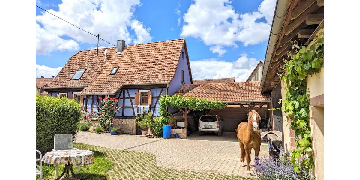 Wohnen auf Zeit Wörth am Rhein - 1 Zimmer, 18 m&sup2;, 45&euro; | Angebot:25616564