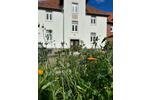 Erdgeschoßwohnung Wennigsen (Deister) - 1.5 Zimmer, 35 m&sup2;, 520&euro; | Angebot:26428656