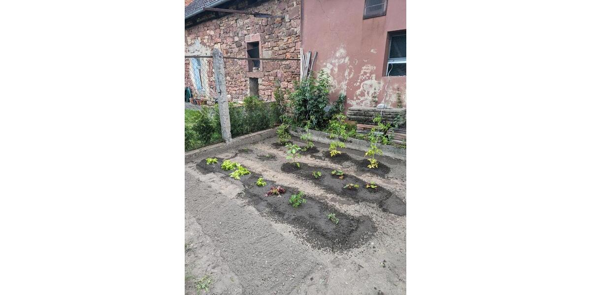 Einfamilienhaus Wörth am Main - 3 Zimmer, 85 m&sup2;, 750&euro; | Angebot:24706293