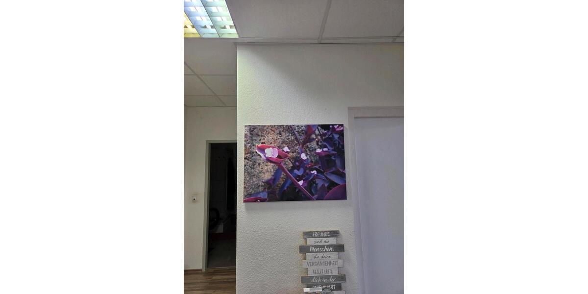 Wohnen auf Zeit Osnabrück Eversburg - 1 Zimmer, 20 m&sup2;, 530&euro; | Angebot:25715230