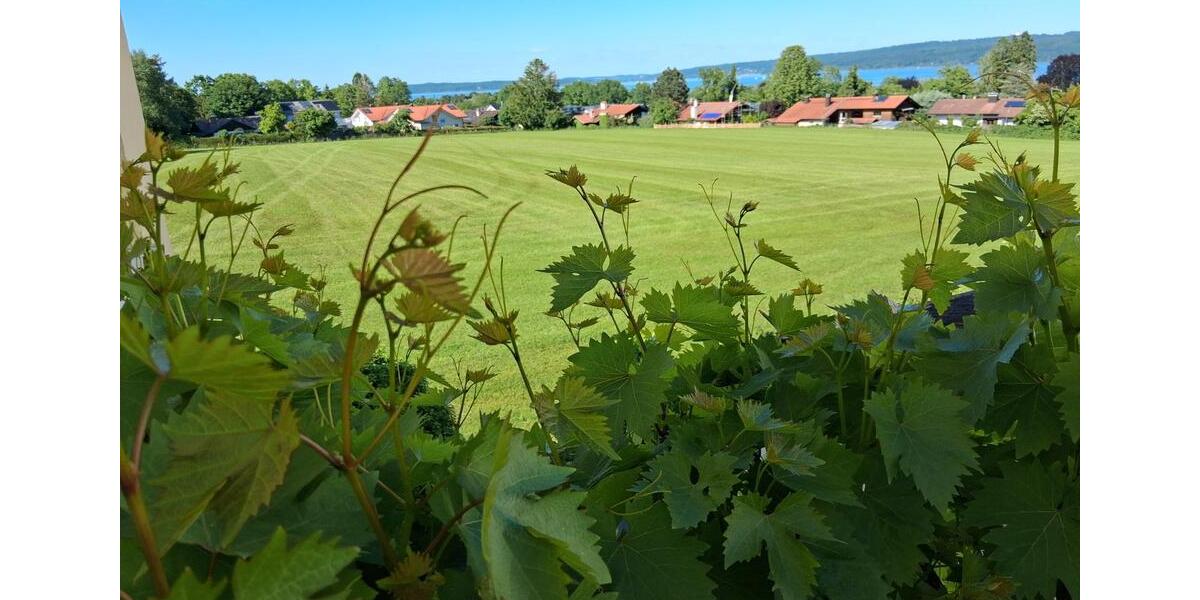 Frei ab sofort: Privatzimmer, möbliert, mit eigenem Duschbad zimmer