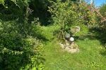 Ansprechende DG-Wohnung 2 Etagen m Gartenteil, klein aber fein! - Dachgeschoßwohnung Rheinfelden Riedmatt | Angebot:26803501