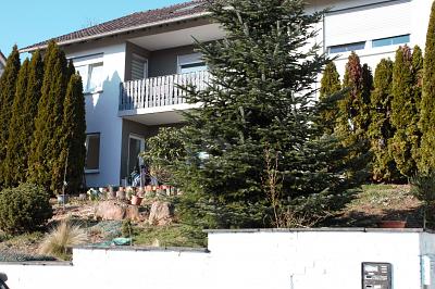 UNTER DEN DÄCHERN VON OBERNBURG - Dachgeschoßwohnung Obernburg am Main | Angebot:26029687