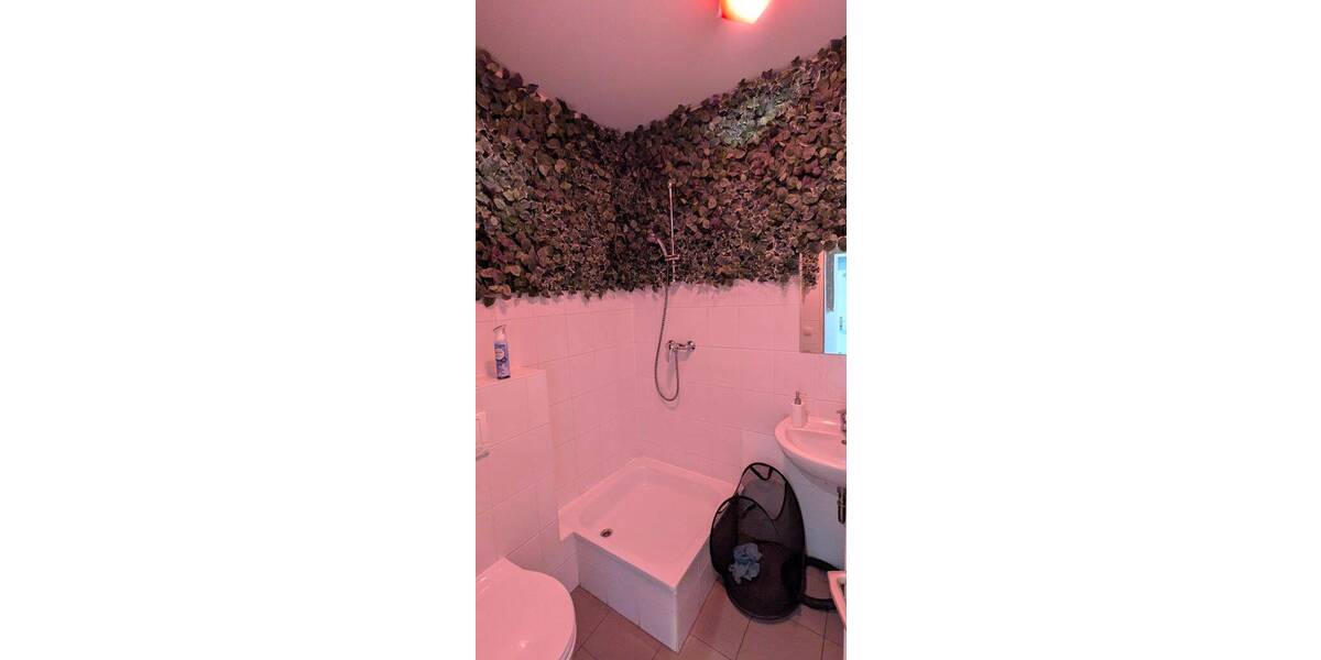 Gewerbeobjekt Berlin Neukölln - 2.250&euro; | Angebot:26230870