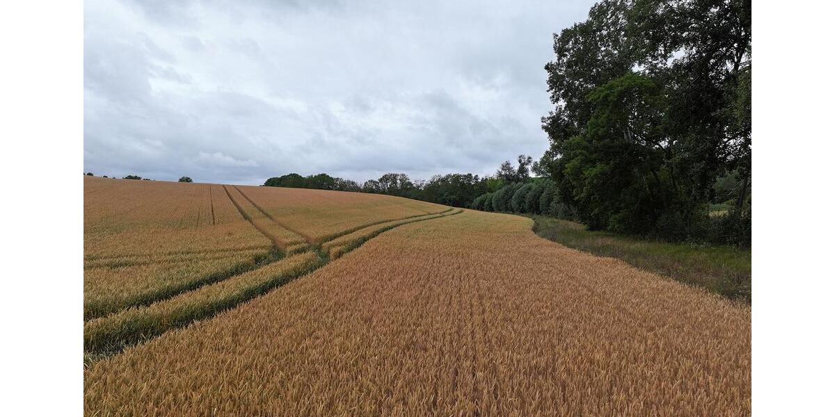 Kompakte Ackerfläche für Jedermann bei Halle (Saale) - ca. 1330 m² zimmer