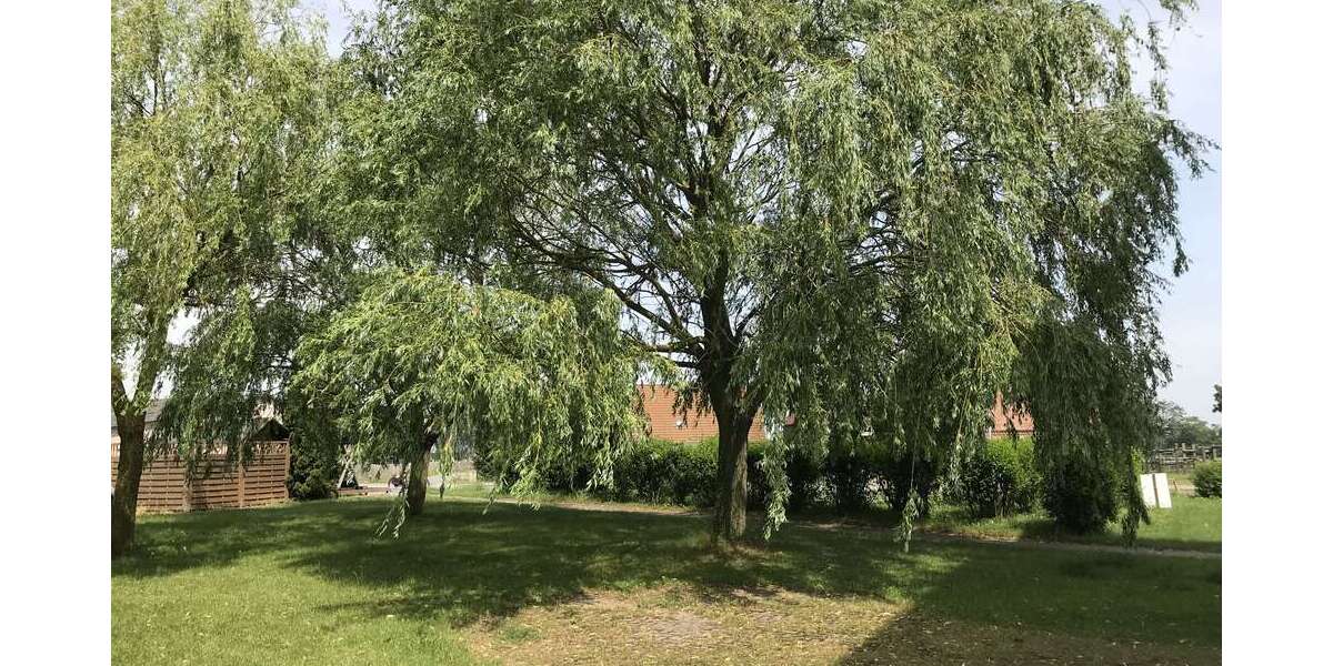 Renovierte 1 Zimmer Wohnung mit Einbauküche und Garage optional! - Appartement Galenbeck Sandhagen | Angebot:16221099