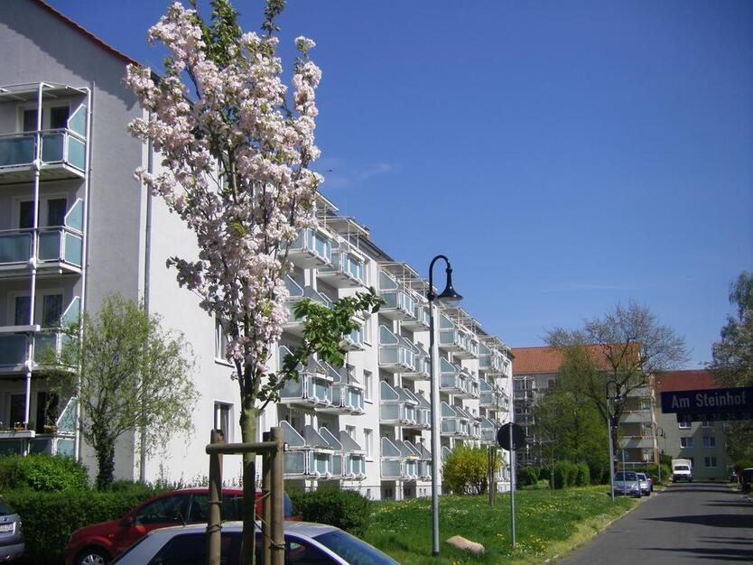 Sonnige 3RaumWohnung im Erstbezug. Beliebtes Wohnumfeld!