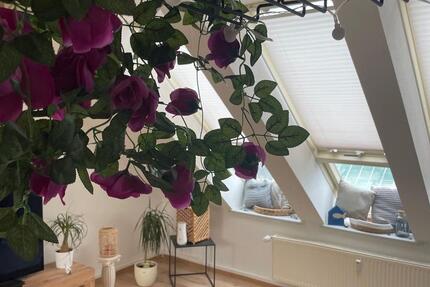 Gemütliche, kleine Dachwohnung in Sassnitz zimmer