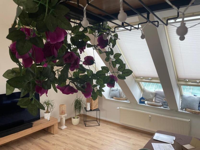 Gemütliche, kleine Dachwohnung in Sassnitz zimmer