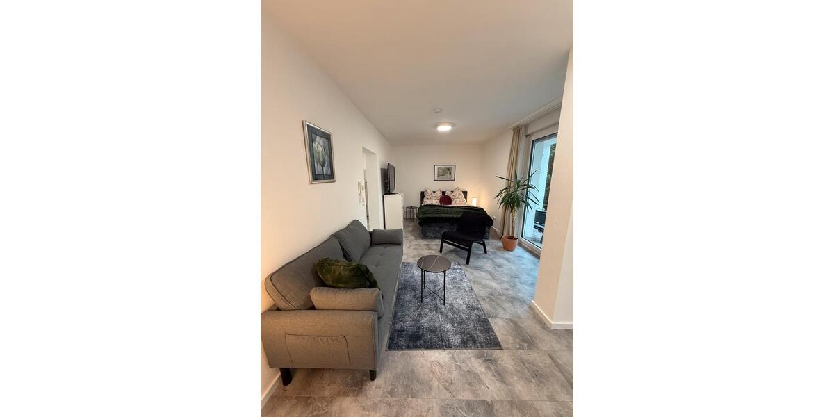 1-Zimmerwohnung voll möbeliert mit Terrasse und Autostellplatz 1 zimmer