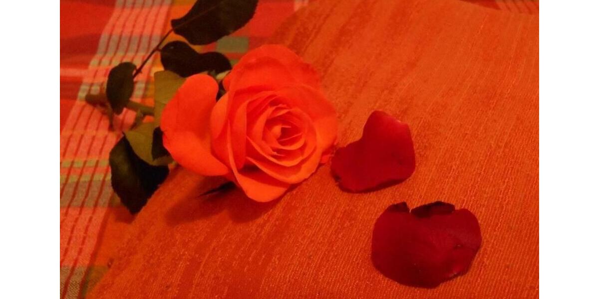 Liebesnest, Kuschelzimmer, Stundenzimmer, Erotikzimmer 1 zimmer