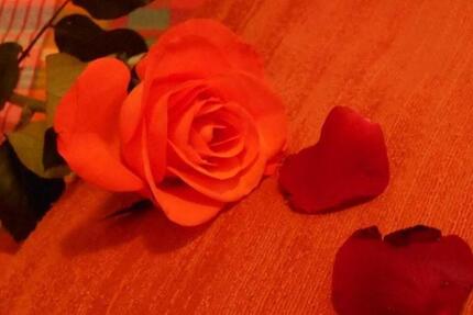 Wohnen auf Zeit Bleckede - 1 Zimmer, 20 m&sup2;, 55&euro; | Angebot:23466675