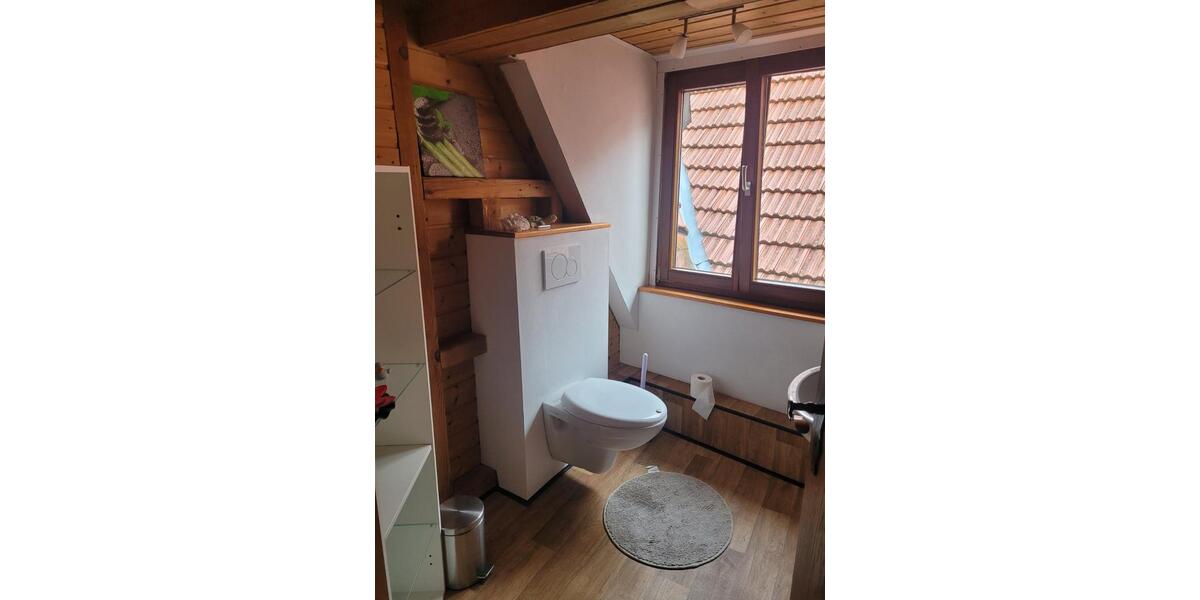 Dachgeschoßwohnung Eltmann - 1.5 Zimmer, 29 m&sup2;, 430&euro; | Angebot:23996901