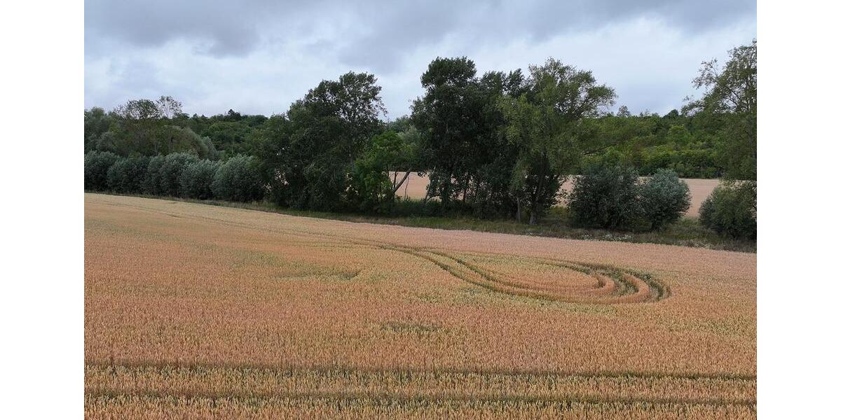 Kompakte Ackerfläche für Jedermann bei Halle (Saale) - ca. 1330 m² zimmer