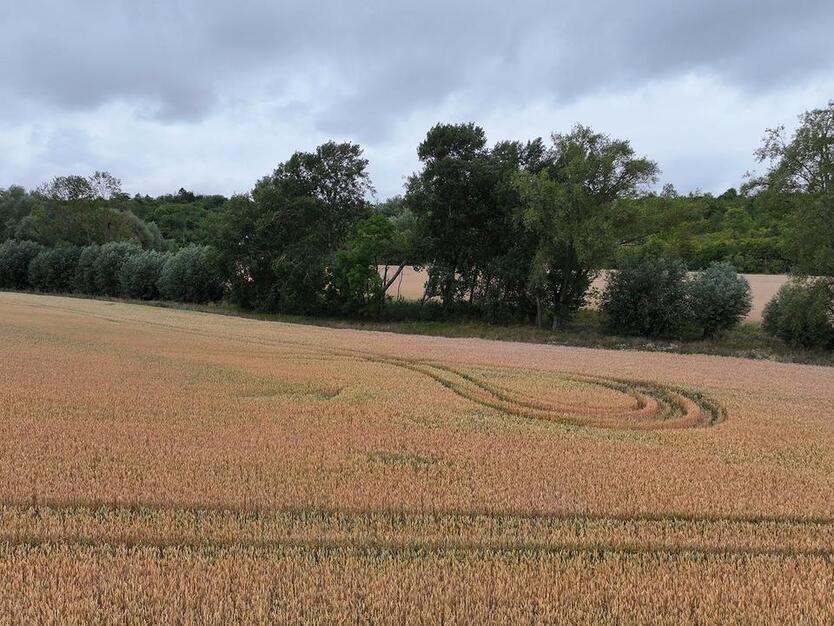 Kompakte Ackerfläche für Jedermann bei Halle (Saale) - ca. 1330 m² zimmer