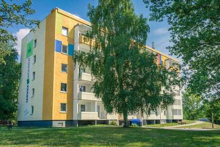 Wohnung zum Mieten in Chemnitz 185 € 34.33 m² 1 zimmer