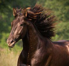 Wohnung Murrhardt - 4 Zimmer, 130 m&sup2;, 250&euro; | Angebot:24368563