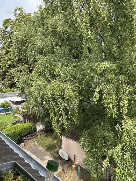 Wohnung zum Mieten in Essen 770 € 86 m²