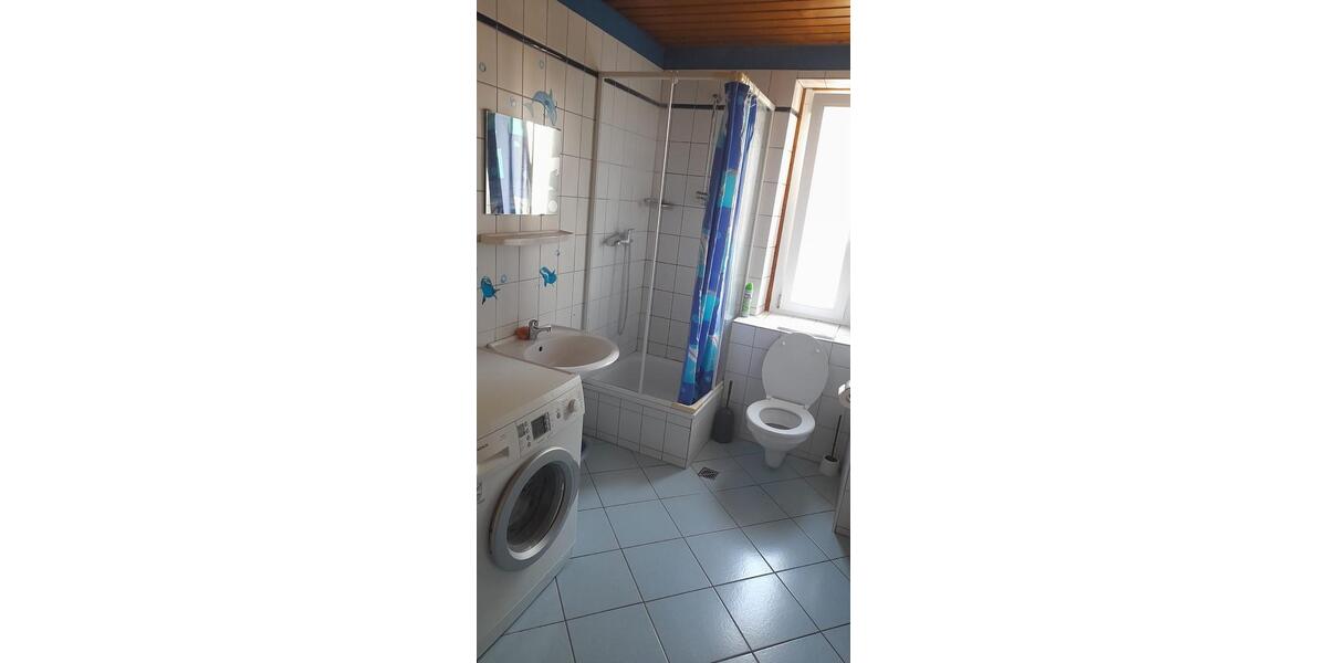 Wohnen auf Zeit Offenburg Rammersweier - 1 Zimmer, 16 m&sup2;, 350&euro; | Angebot:25720822