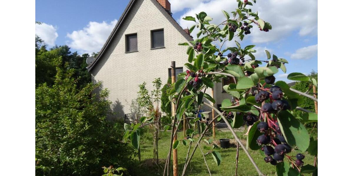 Wohnen auf Zeit Boizenburg/Elbe Elbe - 1 Zimmer, 45 m&sup2;, 470&euro; | Angebot:26066466