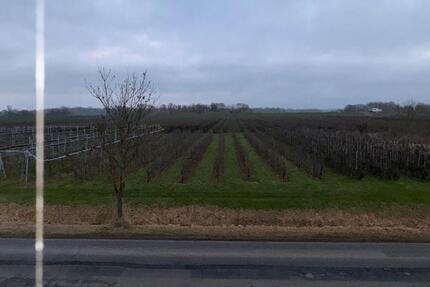 3-Zimmerwohnung frisch saniert 3 zimmer