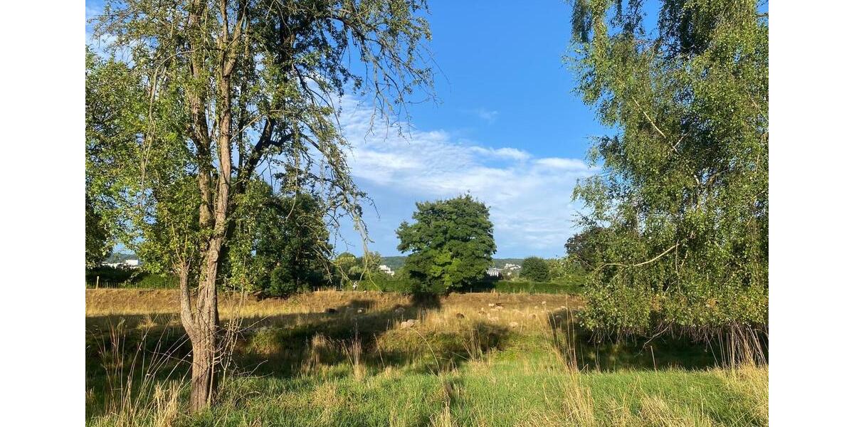 Wohnen auf Zeit Göttingen Grone - 1 Zimmer, 14 m&sup2;, 426&euro; | Angebot:25871905