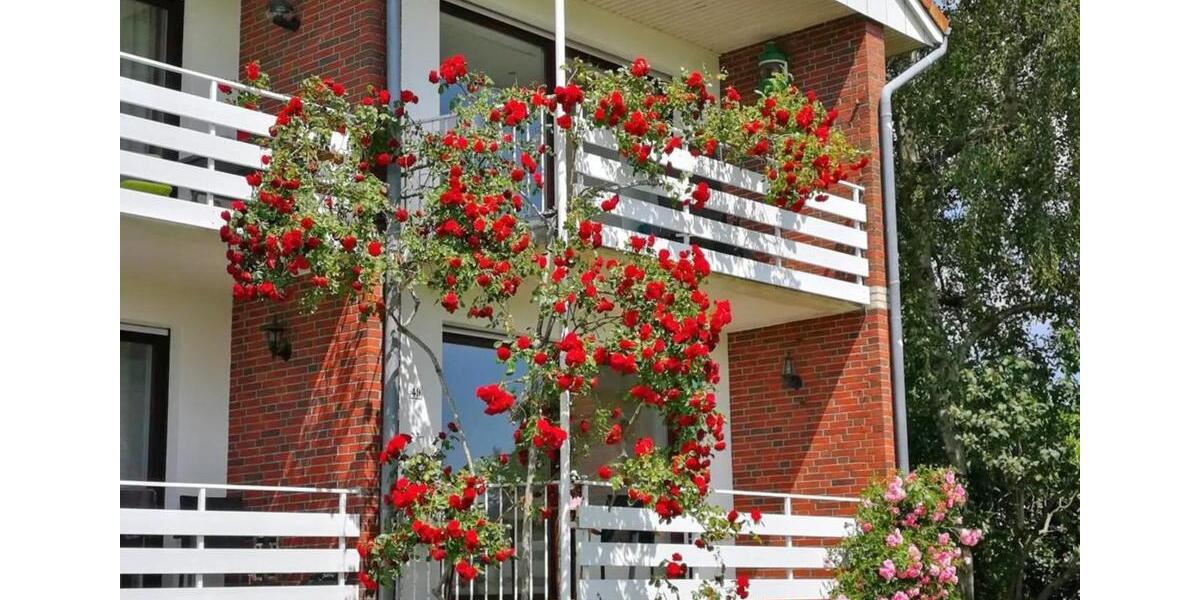 Etagenwohnung Wangerland - 3 Zimmer, 86 m&sup2;, 950&euro; | Angebot:25782087