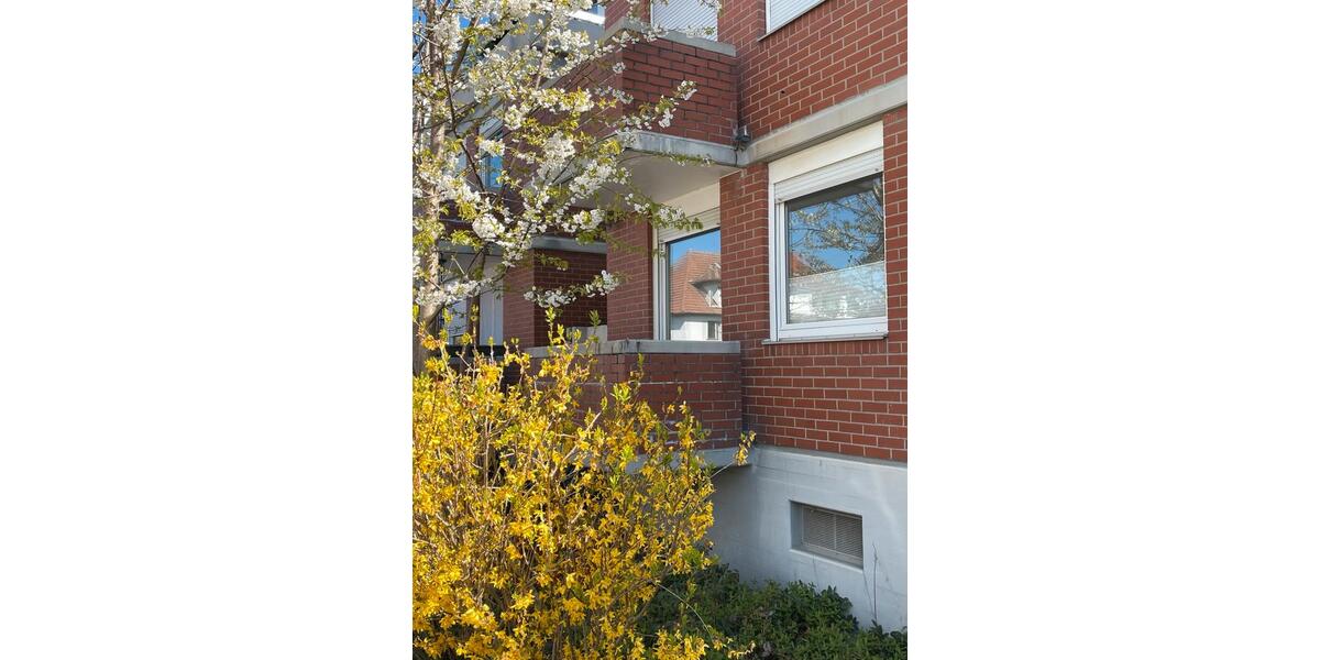 Hochparterre Ketsch - 1 Zimmer, 25 m&sup2;, 750&euro; | Angebot:26024481