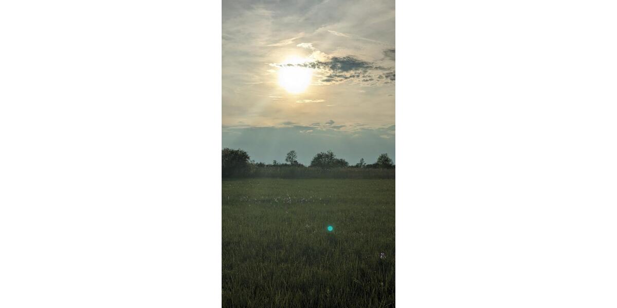 Wohnen auf Zeit Eriskirch - 2 Zimmer, 49 m&sup2;, 72&euro; | Angebot:25697146